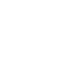ロゴ：ネイルバー30周年記念